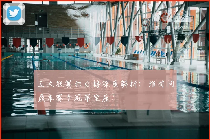 五大联赛积分榜深度解析：谁将问鼎本赛季冠军宝座？