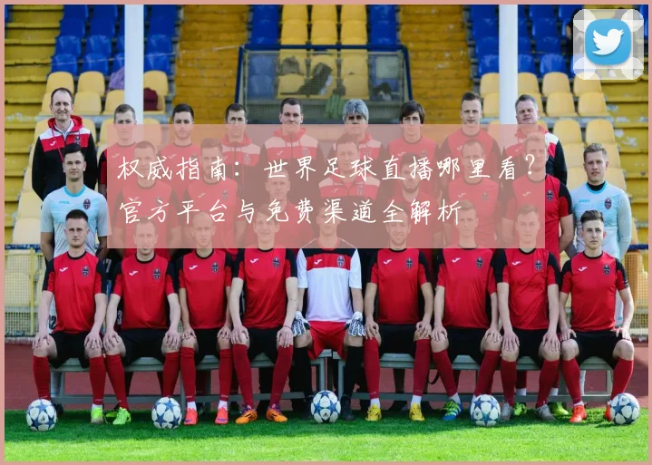 权威指南：世界足球直播哪里看？官方平台与免费渠道全解析